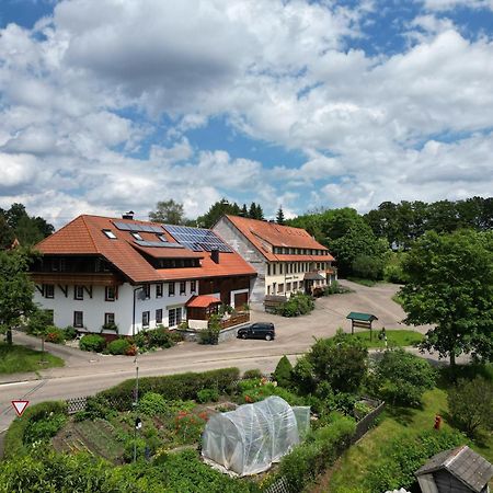 Ferienwohnung Haus Schlageter Dachsberg im Schwarzwald Exterior foto