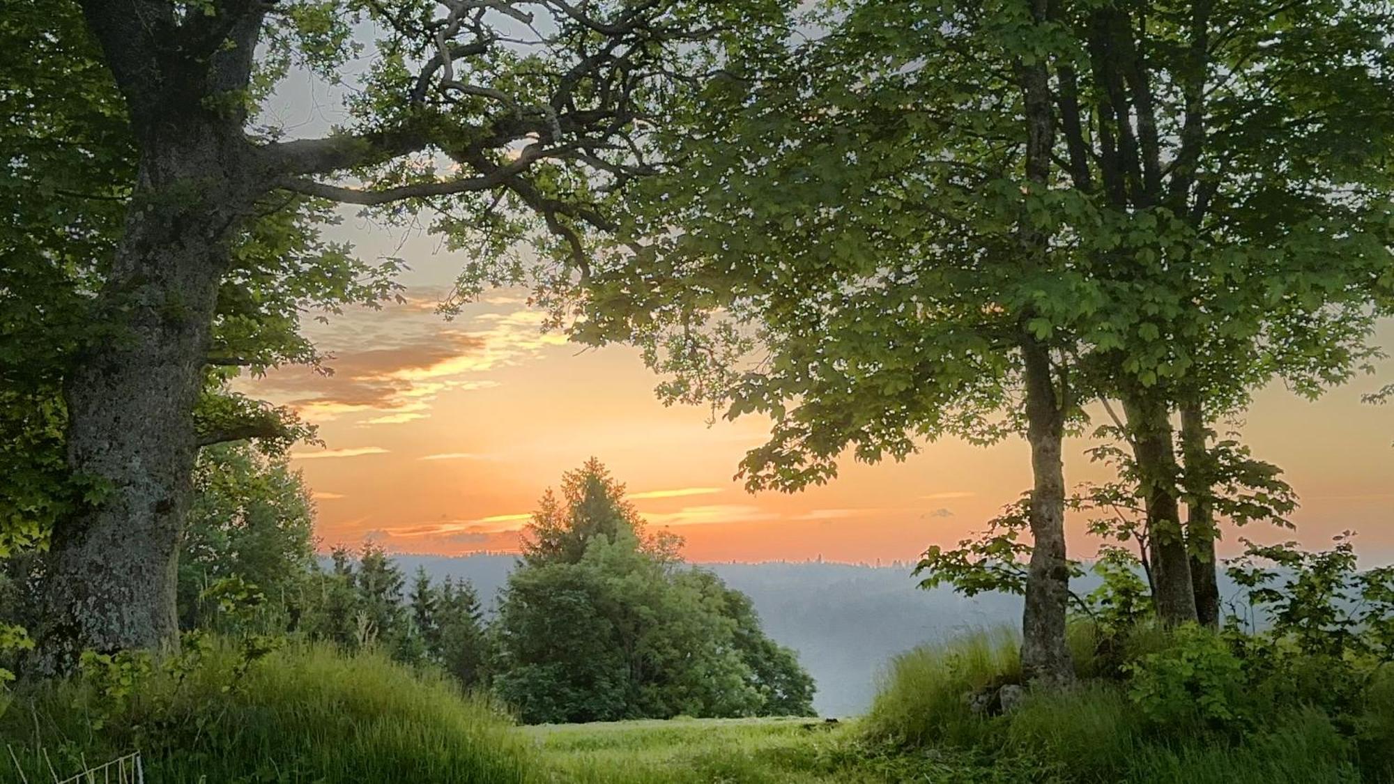Ferienwohnung Haus Schlageter Dachsberg im Schwarzwald Exterior foto