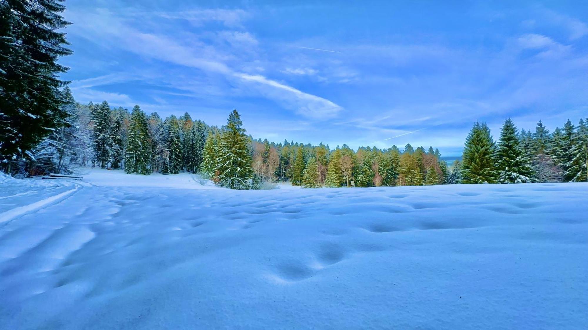 Ferienwohnung Haus Schlageter Dachsberg im Schwarzwald Exterior foto