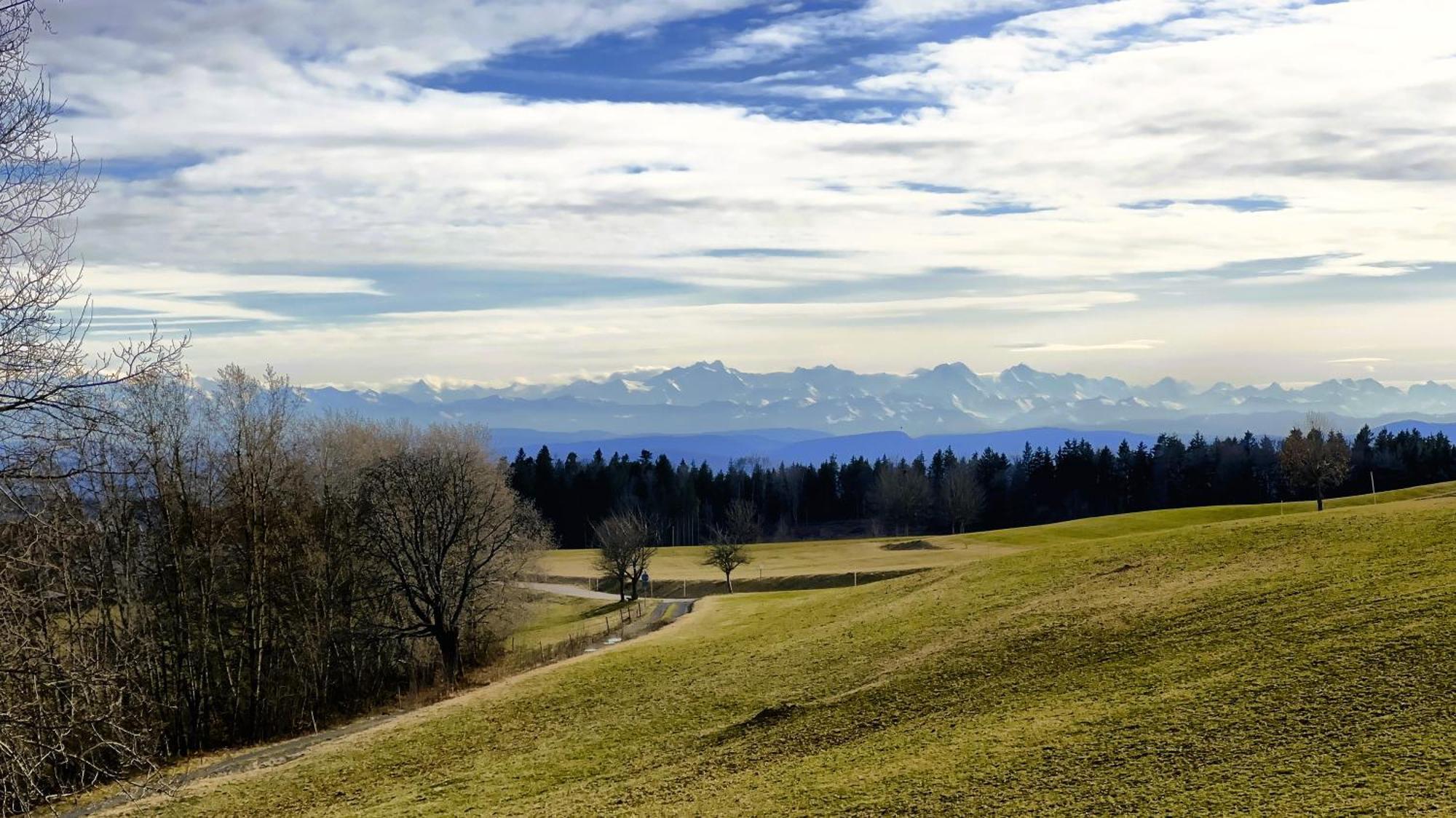Ferienwohnung Haus Schlageter Dachsberg im Schwarzwald Exterior foto
