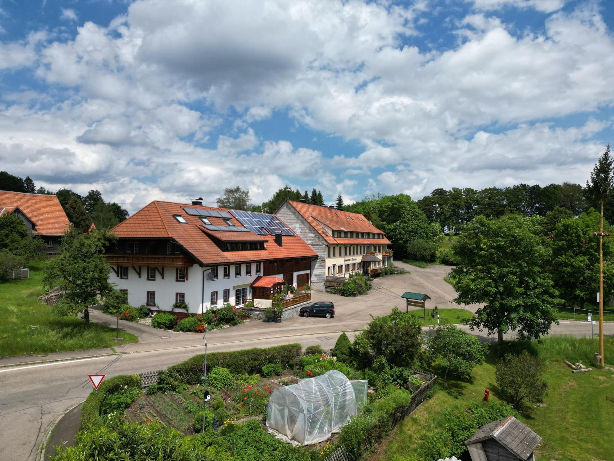 Ferienwohnung Haus Schlageter Dachsberg im Schwarzwald Exterior foto
