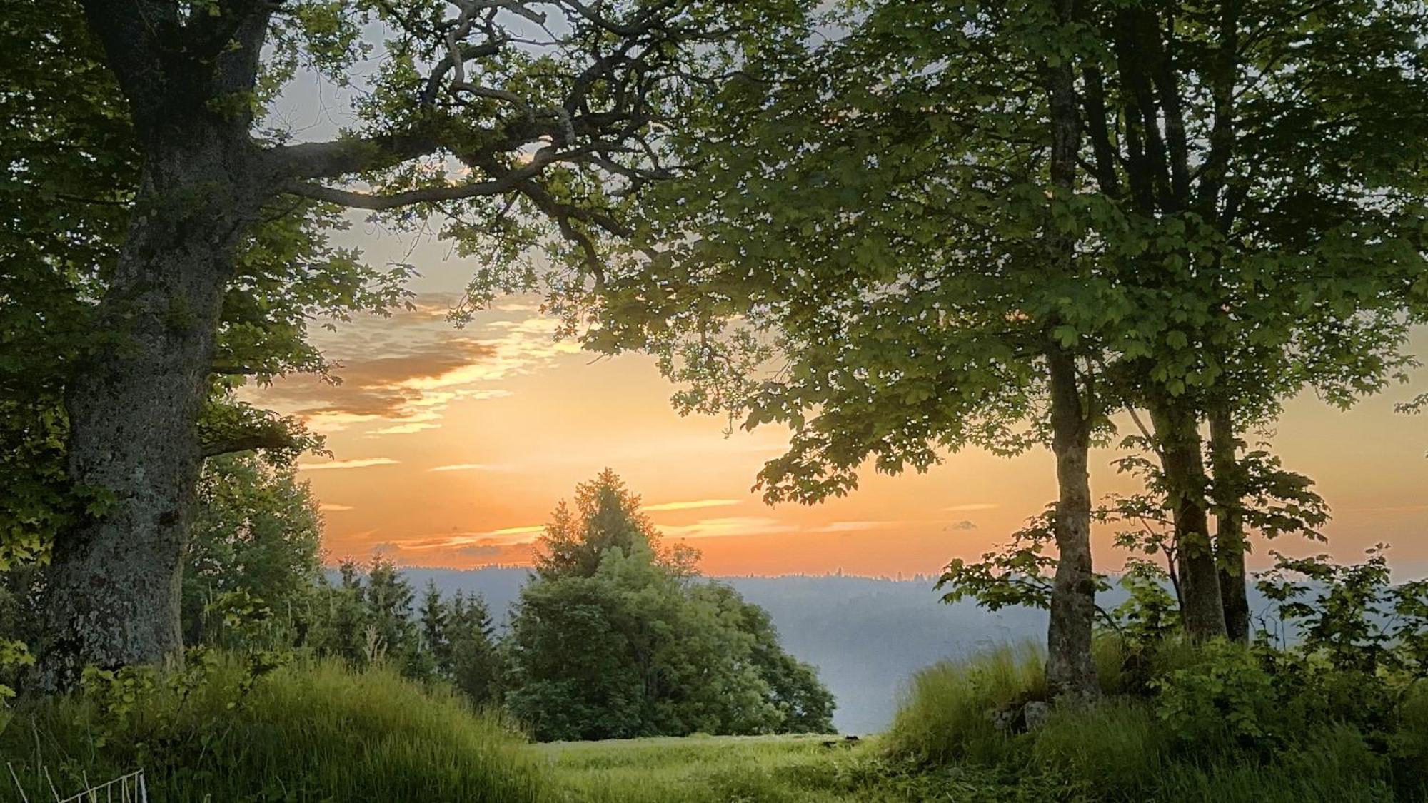 Ferienwohnung Haus Schlageter Dachsberg im Schwarzwald Exterior foto